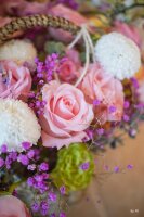 TTArtisan 25mm f2.0 f&uuml;r