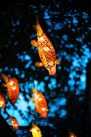 TTArtisan 50mm f0.95 f&uuml;r